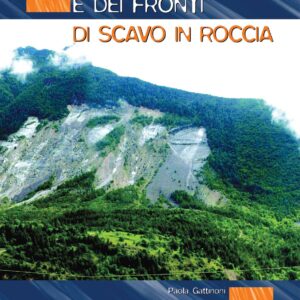 STABILITÀ DEI PENDII E DEI FRONTI DI SCAVO IN ROCCIA