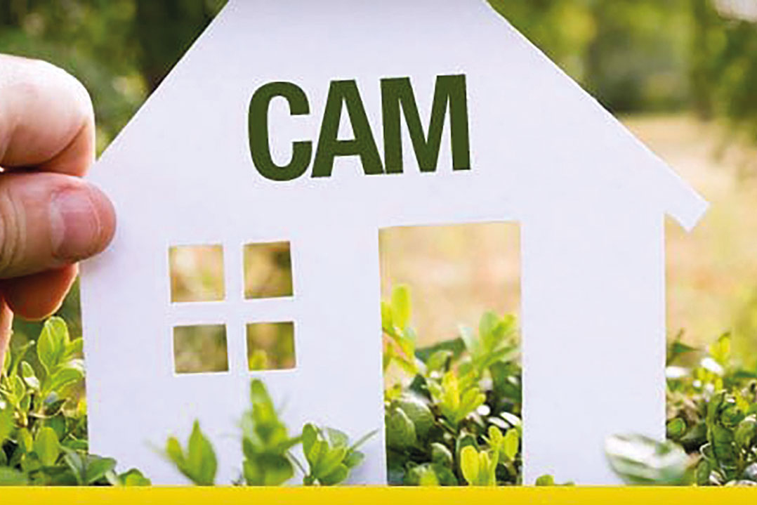 Pubblicato il nuovo decreto CAM Edilizia